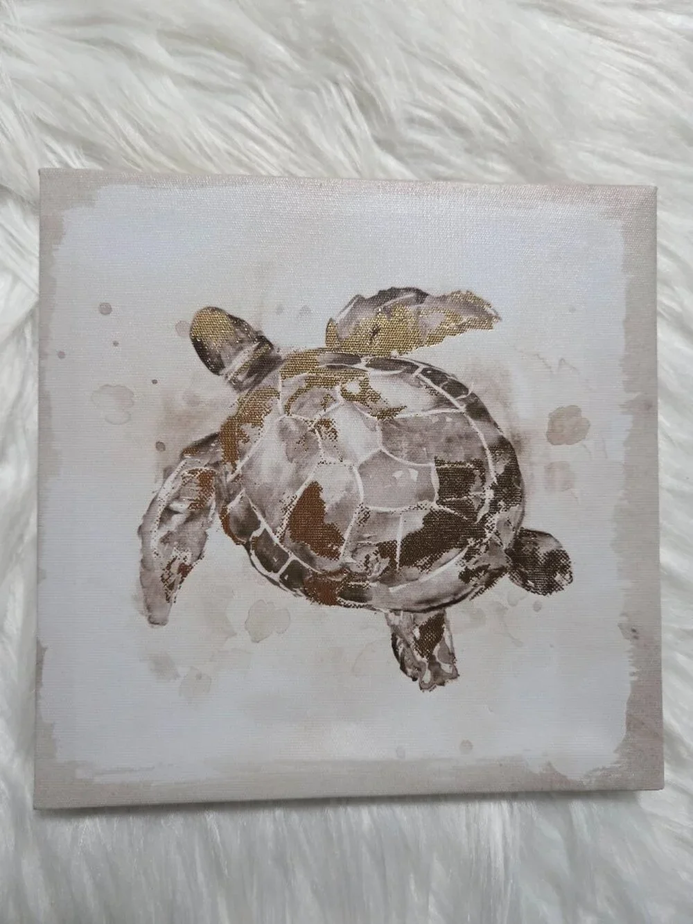 Turtle & Seahorse Wall Art Set